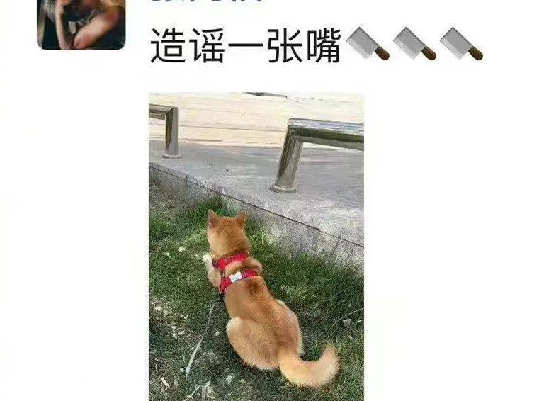李易峰工作室公关失误_李易峰嫖娼事件_51吃瓜李易峰,