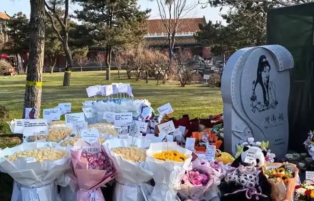 朱媛媛离世消息_年轻女星癌症去世_女明星死了几个