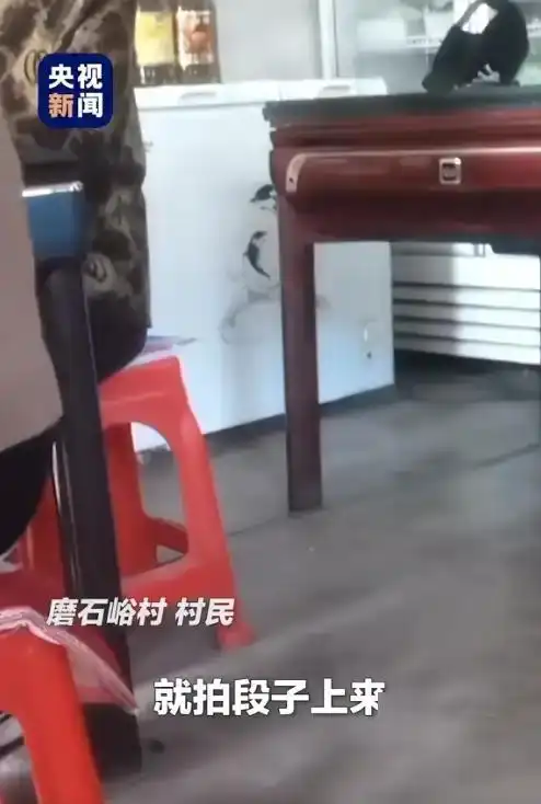 农村流量真相_千万网红回村躺平_女网红回村说八卦是真的吗-